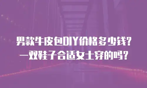 男款牛皮包DIY价格多少钱？一双鞋子合适女士穿的吗？