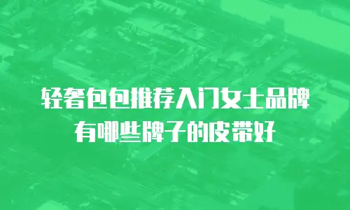 轻奢包包推荐入门女士品牌有哪些牌子的皮带好