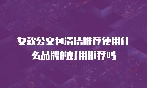 女款公文包清洁推荐使用什么品牌的好用推荐吗