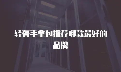 轻奢手拿包推荐哪款最好的品牌