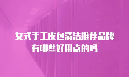 女式手工皮包清洁推荐品牌有哪些好用点的吗