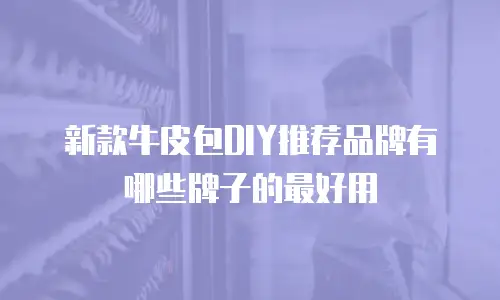 新款牛皮包DIY推荐品牌有哪些牌子的最好用