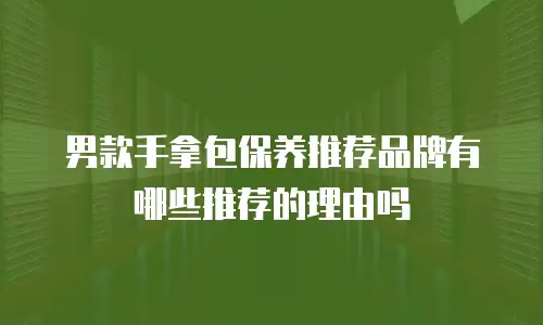 男款手拿包保养推荐品牌有哪些推荐的理由吗