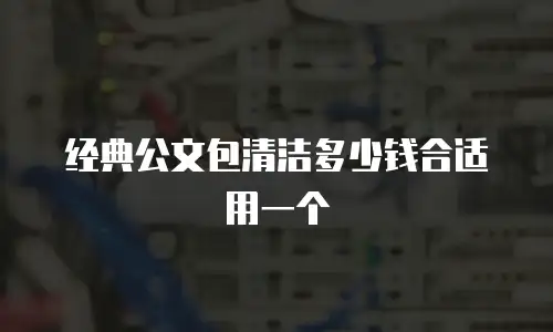 经典公文包清洁多少钱合适用一个