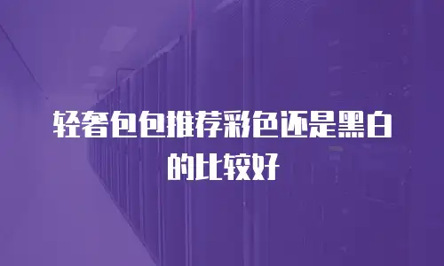 轻奢包包推荐彩色还是黑白的比较好
