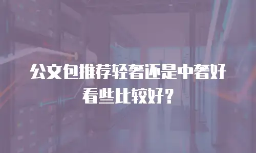 公文包推荐轻奢还是中奢好看些比较好？