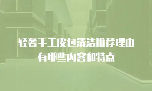轻奢手工皮包清洁推荐理由有哪些内容和特点