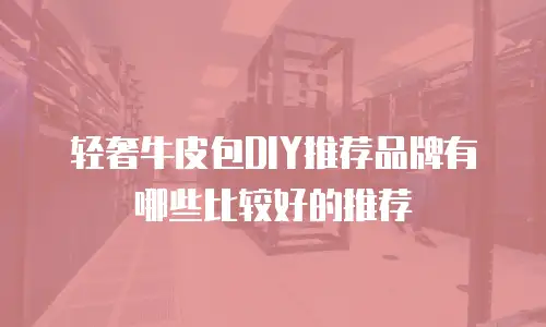 轻奢牛皮包DIY推荐品牌有哪些比较好的推荐