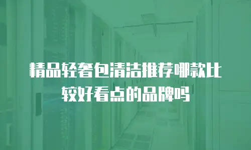 精品轻奢包清洁推荐哪款比较好看点的品牌吗