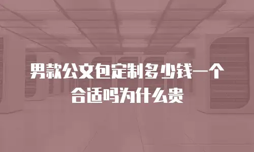 男款公文包定制多少钱一个合适吗为什么贵