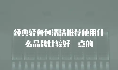 经典轻奢包清洁推荐使用什么品牌比较好一点的
