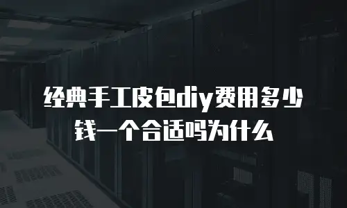 经典手工皮包diy费用多少钱一个合适吗为什么