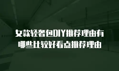 女款轻奢包DIY推荐理由有哪些比较好看点推荐理由