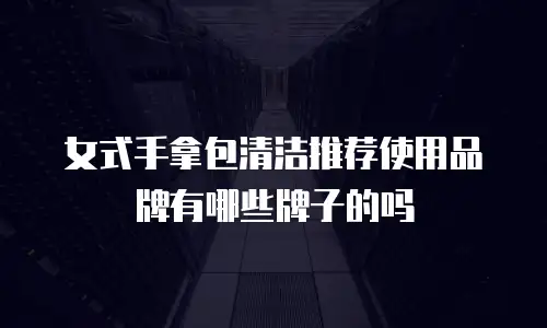 女式手拿包清洁推荐使用品牌有哪些牌子的吗