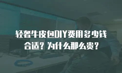 轻奢牛皮包DIY费用多少钱合适？为什么那么贵？