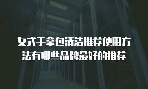 女式手拿包清洁推荐使用方法有哪些品牌最好的推荐