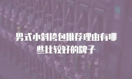 男式小斜挎包推荐理由有哪些比较好的牌子