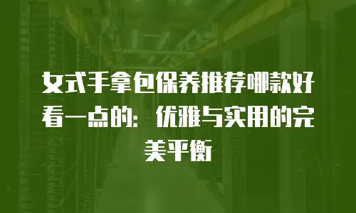 女式手拿包保养推荐哪款好看一点的：优雅与实用的完美平衡