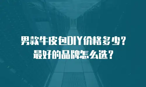 男款牛皮包DIY价格多少？最好的品牌怎么选？