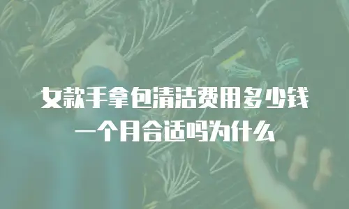 女款手拿包清洁费用多少钱一个月合适吗为什么