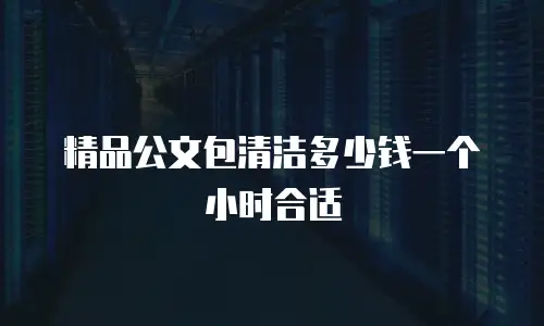 精品公文包清洁多少钱一个小时合适
