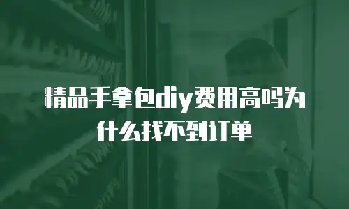 精品手拿包diy费用高吗为什么找不到订单