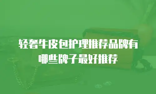 轻奢牛皮包护理推荐品牌有哪些牌子最好推荐