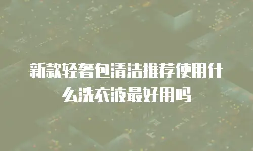 新款轻奢包清洁推荐使用什么洗衣液最好用吗