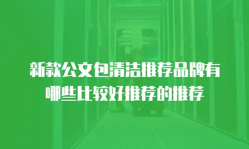 新款公文包清洁推荐品牌有哪些比较好推荐的推荐