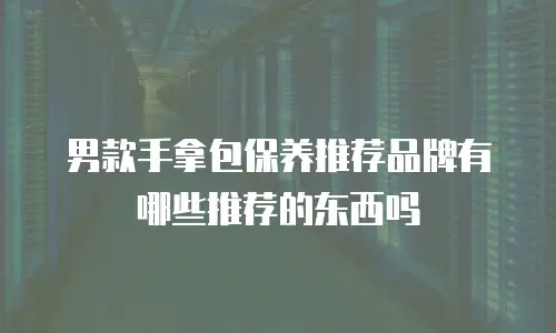 男款手拿包保养推荐品牌有哪些推荐的东西吗
