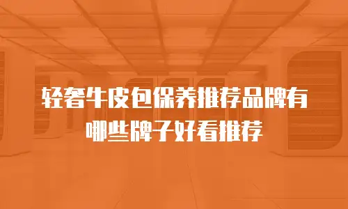 轻奢牛皮包保养推荐品牌有哪些牌子好看推荐