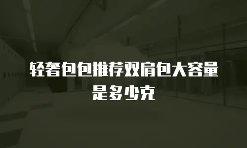 轻奢包包推荐双肩包大容量是多少克