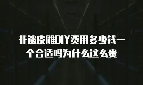 非遗皮雕DIY费用多少钱一个合适吗为什么这么贵