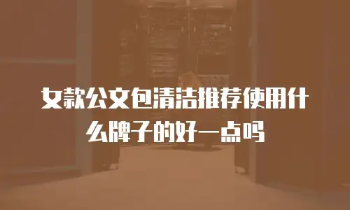 女款公文包清洁推荐使用什么牌子的好一点吗