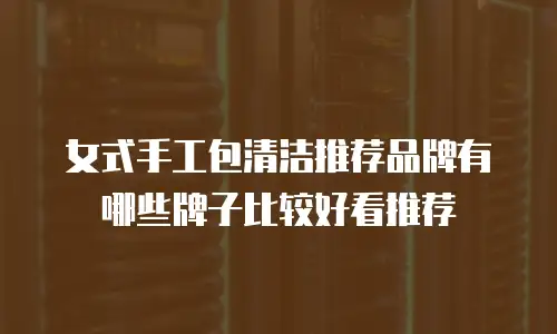 女式手工包清洁推荐品牌有哪些牌子比较好看推荐