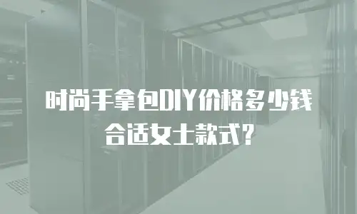 时尚手拿包DIY价格多少钱合适女士款式？