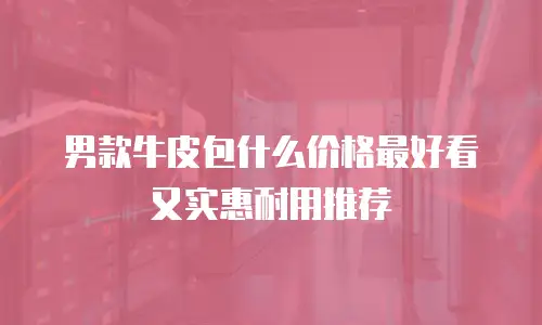男款牛皮包什么价格最好看又实惠耐用推荐