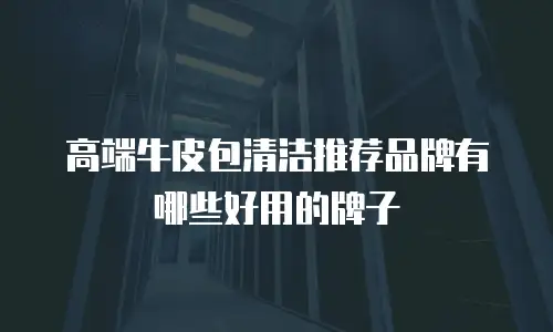 高端牛皮包清洁推荐品牌有哪些好用的牌子