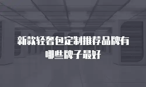 新款轻奢包定制推荐品牌有哪些牌子最好