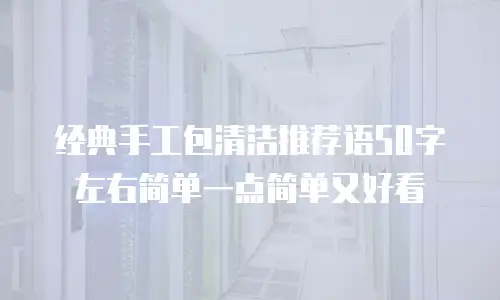 经典手工包清洁推荐语50字左右简单一点简单又好看
