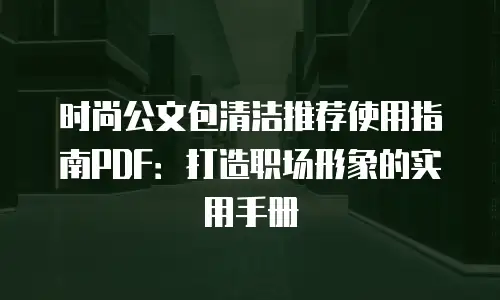 时尚公文包清洁推荐使用指南PDF：打造职场形象的实用手册