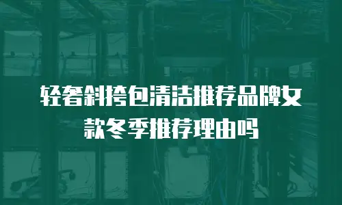 轻奢斜挎包清洁推荐品牌女款冬季推荐理由吗