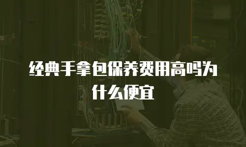 经典手拿包保养费用高吗为什么便宜