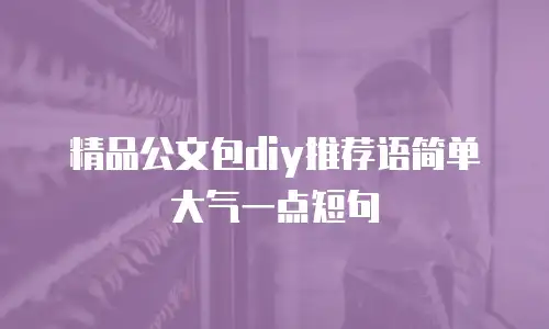 精品公文包diy推荐语简单大气一点短句