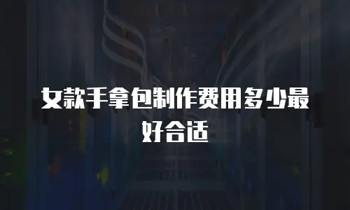 女款手拿包制作费用多少最好合适