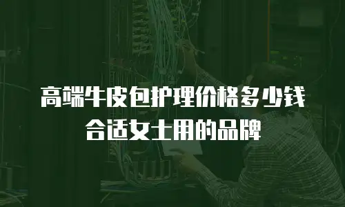 高端牛皮包护理价格多少钱合适女士用的品牌