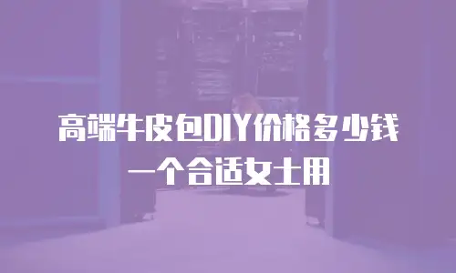 高端牛皮包DIY价格多少钱一个合适女士用