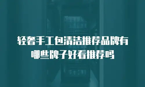 轻奢手工包清洁推荐品牌有哪些牌子好看推荐吗