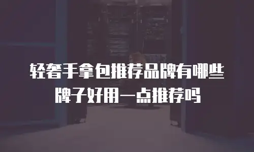 轻奢手拿包推荐品牌有哪些牌子好用一点推荐吗