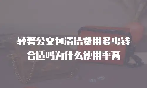 轻奢公文包清洁费用多少钱合适吗为什么使用率高